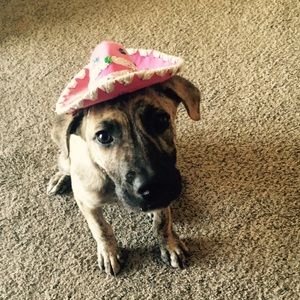 Meet your Posher, Karen