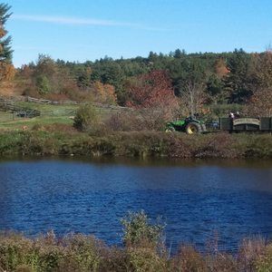 Meet your Posher, Corina