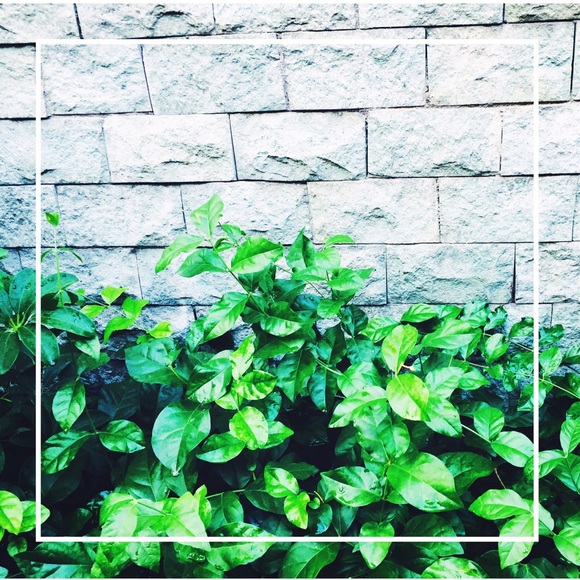 Meet your Posher, Sasha - Picture 4 of 4