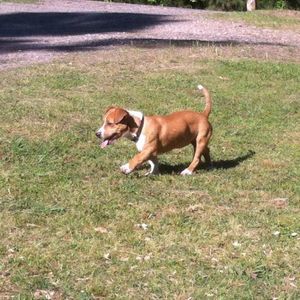 Meet your Posher, Dylan