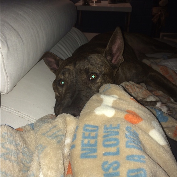 Meet your Posher, Cindy