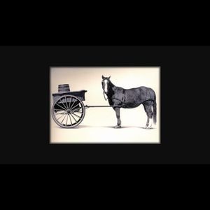 Meet your Posher, Brett