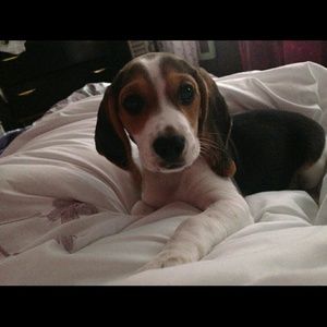 Meet your Posher, Tammy