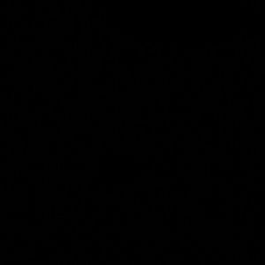 Meet your Posher, Lorrie