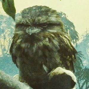 Meet your Posher, Jeff