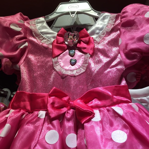 Disney Minnie Mouse Costume