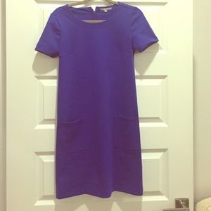 Gap royal blue shift dress