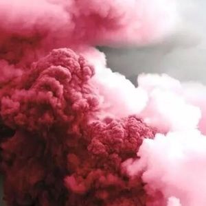 Meet your Posher, Jaydn