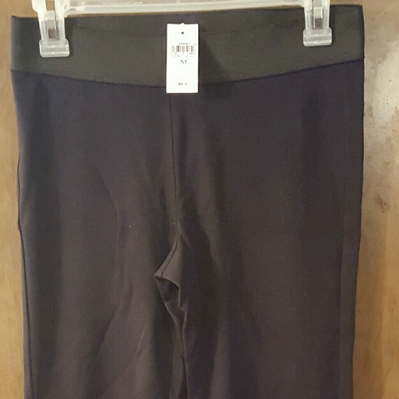 Leggings Ann Taylor Brand