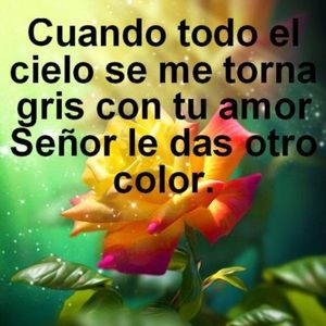 Meet your Posher, Virginia