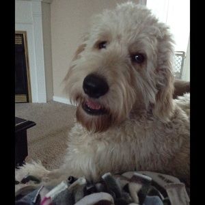 Meet your Posher, Maegan