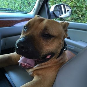 Meet your Posher, Jamie