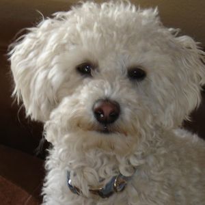 Meet your Posher, Sherri