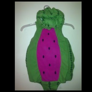 Watermelon costume