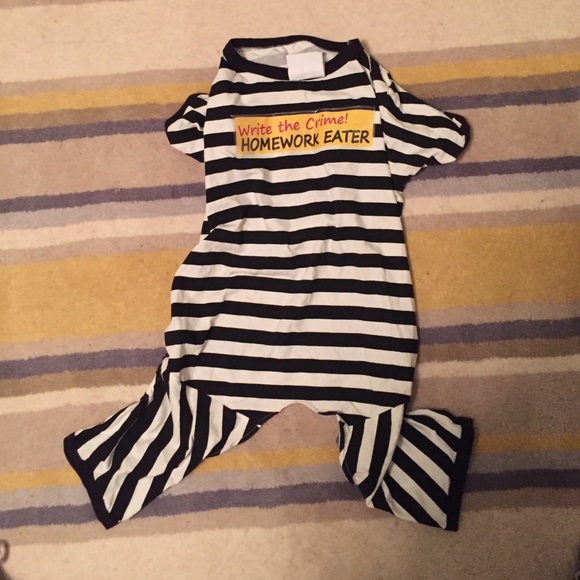 Dog Halloween  costume