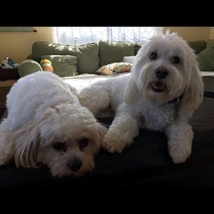 Meet your Posher, Michelle