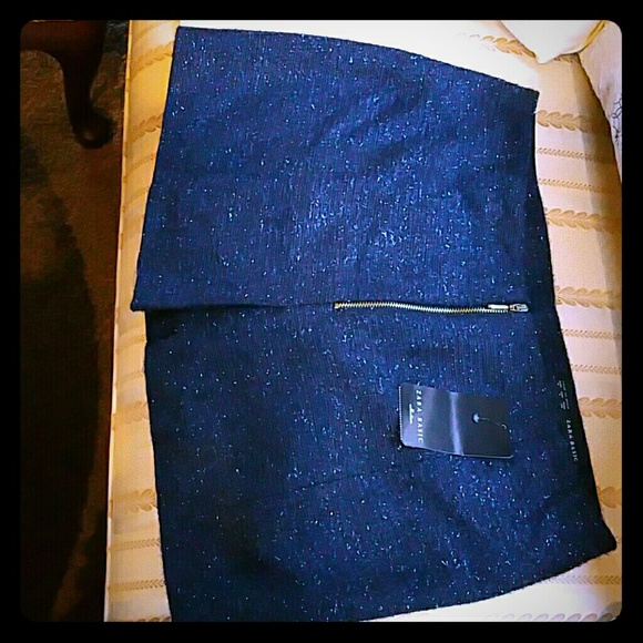 Zara skirt