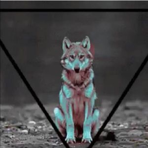 Meet your Posher, Cesar