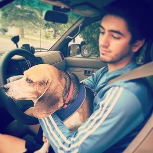 Meet your Posher, Matt