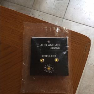 Alex and Ani studs