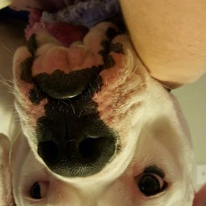 Meet your Posher, Rebecca