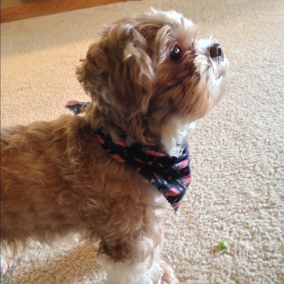 Meet the Seller! ♥️ - Picture 6 of 8