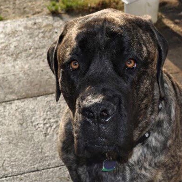 Meet your Posher, Erykka