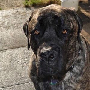 Meet your Posher, Erykka