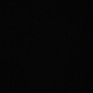 Meet your Posher, Jessie