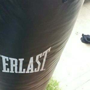 100 lb Everlast Punching Bag