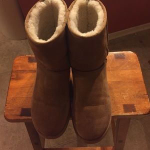 Chestnut Uggs