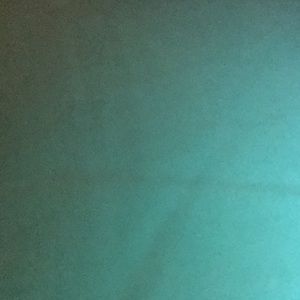 Meet your Posher, Dzenita