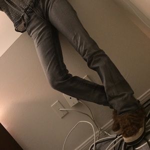 AG the kiss bootcut jeans