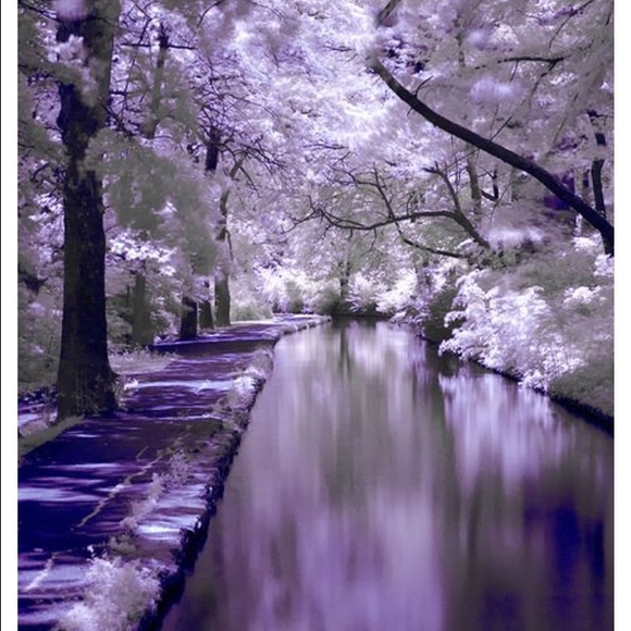 Meet your Posher, Bobbie - Picture 1 of 1