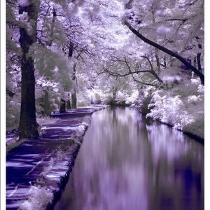 Meet your Posher, Bobbie