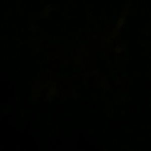 Meet your Posher, Mayra