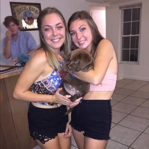 Meet your Posher, Julia