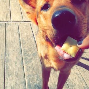 Meet your Posher, Jen