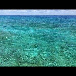 Meet your Posher, Dolores