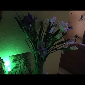 Meet your Posher, Graciela