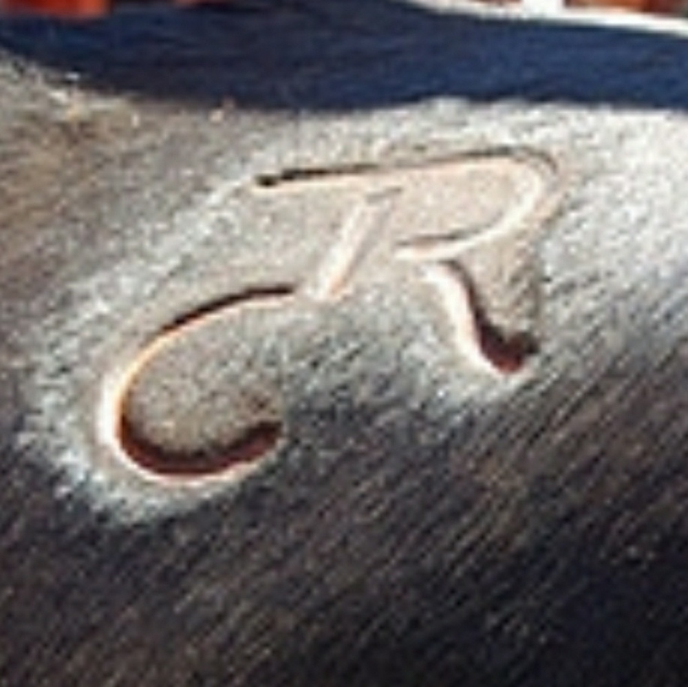 Meet your Posher, Cheryl