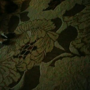 Meet your Posher, Helen