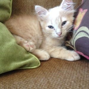 Meet your Posher, Tessa