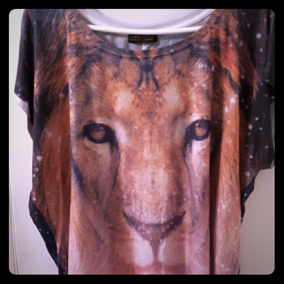 Stellar Leo top