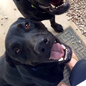 Meet your Posher, Stacey