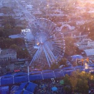 Meet your Posher, Arlene