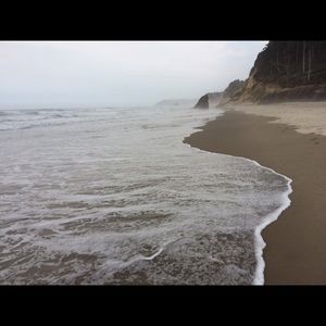 Meet your Posher, Flora