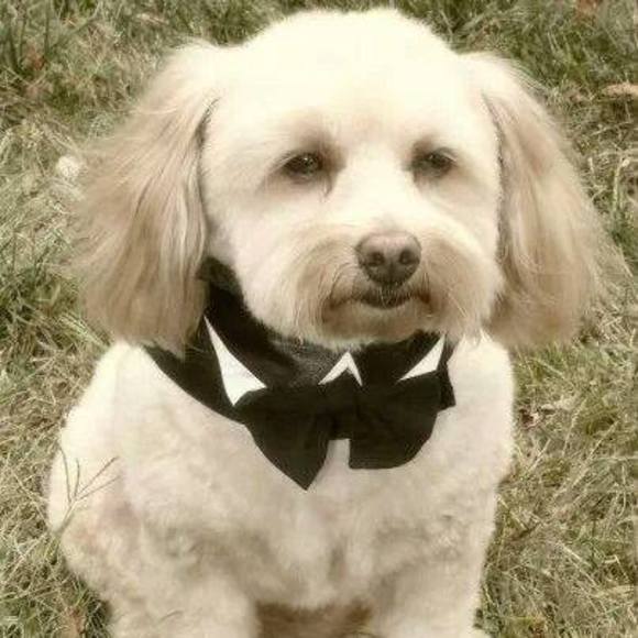 Meet your Posher, Jill - Picture 1 of 1