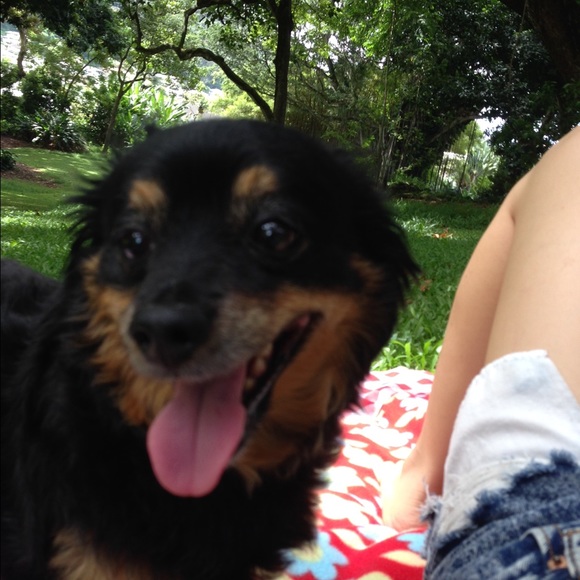 💕👻 Meet Your Posher - Picture 2 of 3