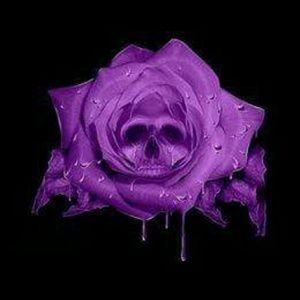 Meet your Posher, Betty